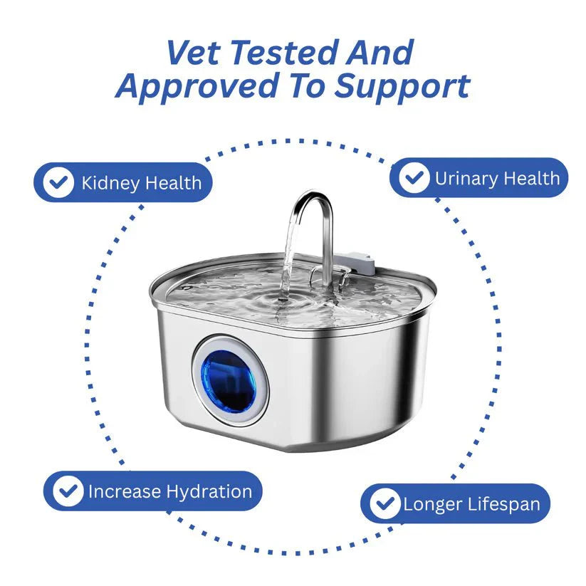 Give Your Cat Years More Healthy Life With Purrify