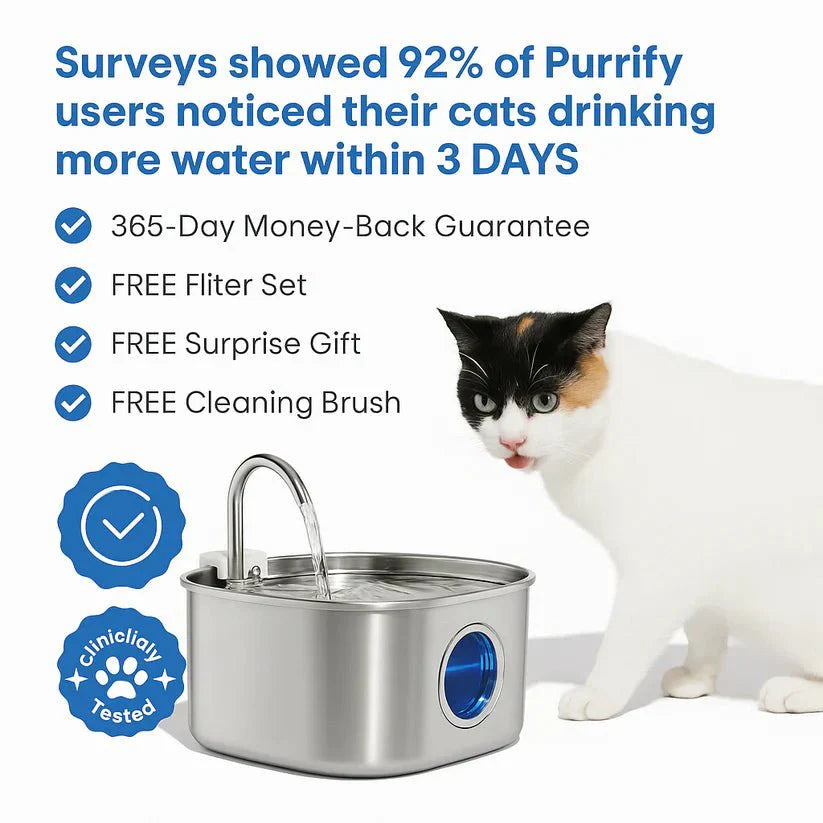 Give Your Cat Years More Healthy Life With Purrify