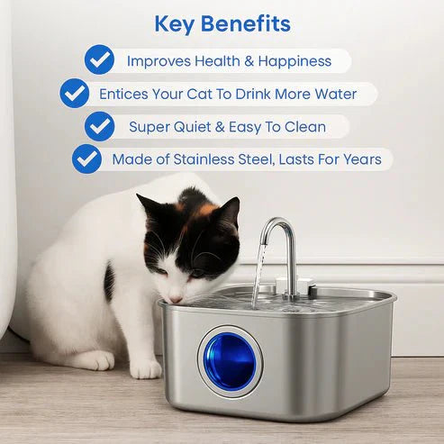 Give Your Cat Years More Healthy Life With Purrify