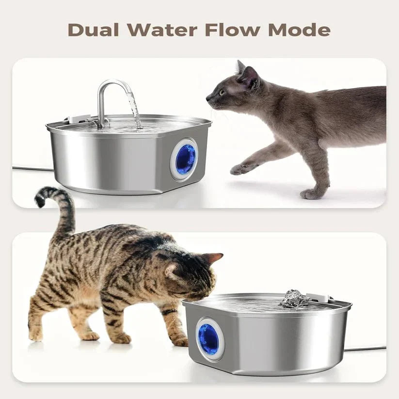 Give Your Cat Years More Healthy Life With Purrify