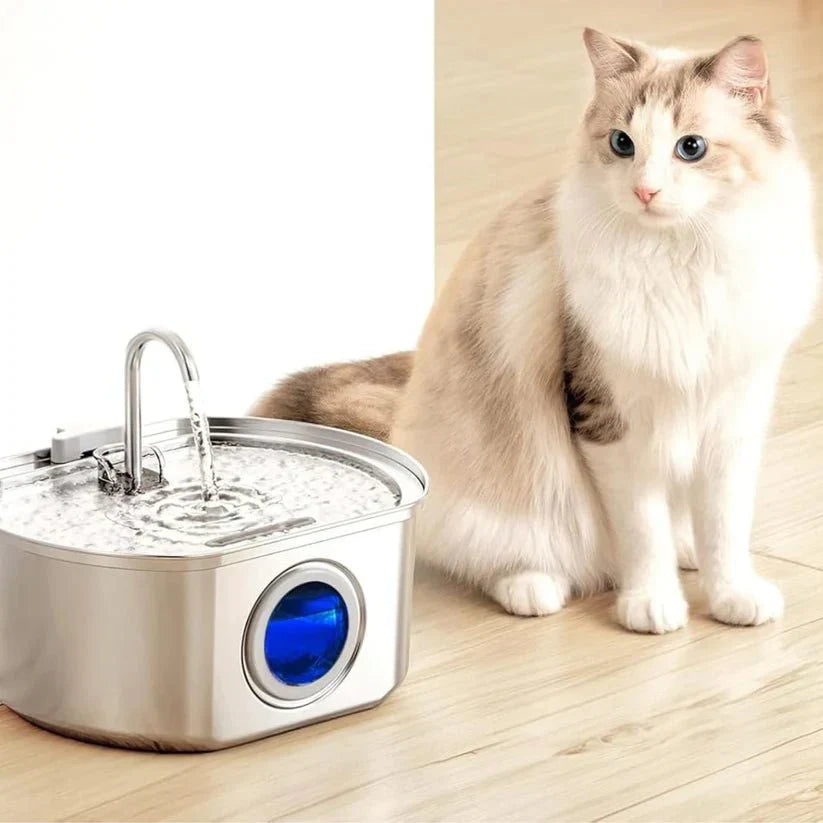 Give Your Cat Years More Healthy Life With Purrify