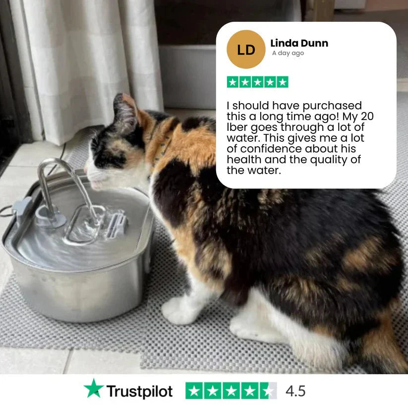 Give Your Cat Years More Healthy Life With Purrify
