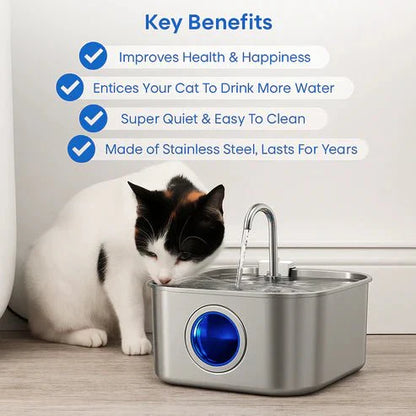 Give Your Cat Years More Healthy Life With Purrify
